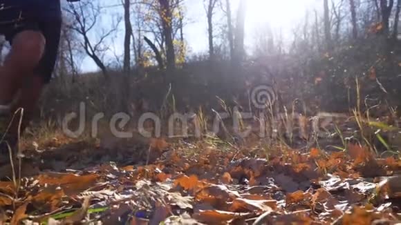 秋天沿着森林小径跑步的运动员腿的特写视频的预览图