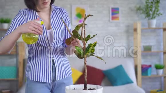 年轻的女人照料着叶子靠近的植物视频的预览图
