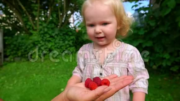 可爱的女孩从大人手里吃树莓视频的预览图