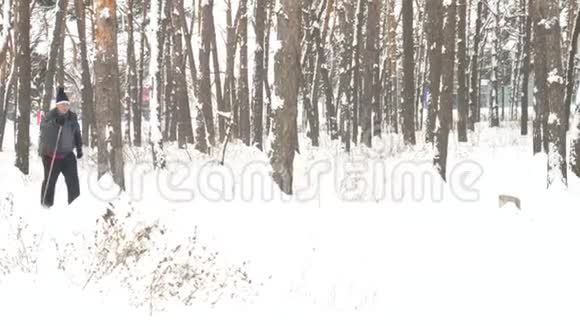 成熟的老人在森林里滑雪视频的预览图