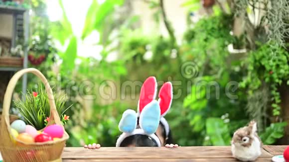 复活节快乐孩子有五颜六色的鸡蛋玩具为四月的庆祝而快乐视频的预览图