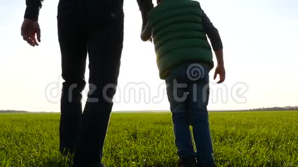 父子俩跑过一片绿色的草地牵着手日落时分幸福家庭的剪影视频的预览图