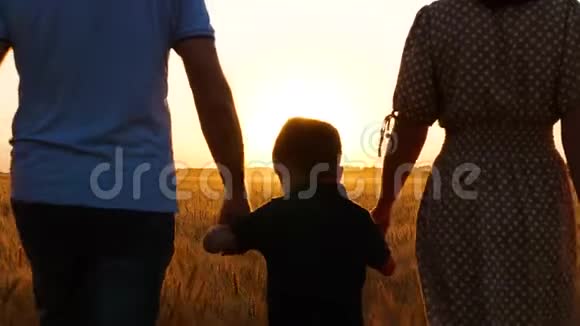 一男一女牵着一个小男孩的手在日落时分穿过麦田家庭幸福旅游爱情视频的预览图