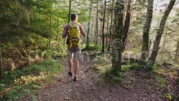 一个带着黄色背包的年轻人沿着森林里一条风景如画的小径散步积极的生活方式和假期视频的预览图