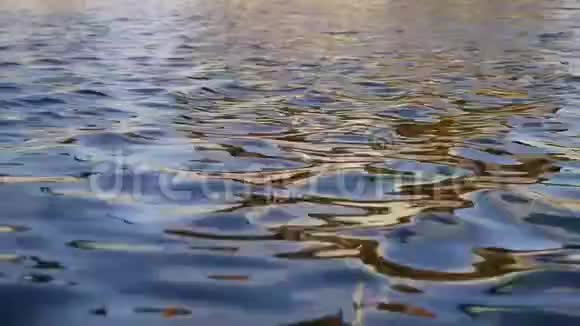 水流反射视频的预览图