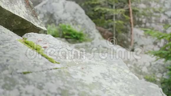 一个沉重的登山通过岩石一个年轻的集中精神的人爬上石头视频的预览图