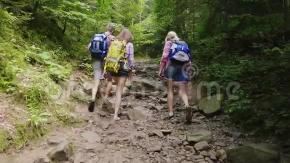 三个游客朋友正沿着森林里的一条山路散步后景积极健康的生活方式视频的预览图