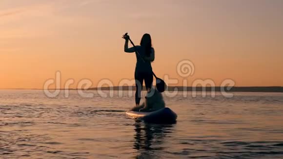 一位带着狗的女士正在夕阳下的海面上视频的预览图