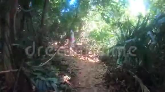 镜头跟随女孩穿过丛林视频的预览图