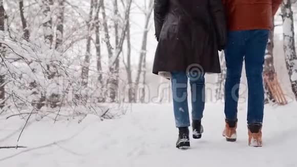 在降雪的公园里散步的情侣的后景男人和他的女朋友牵着手享受雪视频的预览图