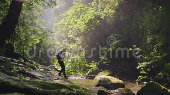 森林里一个孤独的旅行者穿过一条山河在丛林中迷失视频的预览图