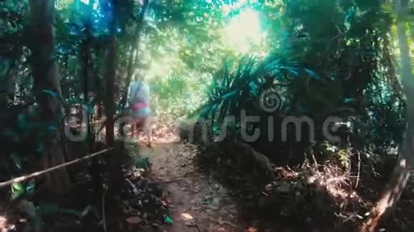 在绿色森林里刺死一个女孩夏天是个晴天视频的预览图