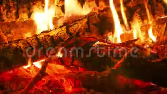 森林里的篝火在晚上点燃时间流逝视频的预览图