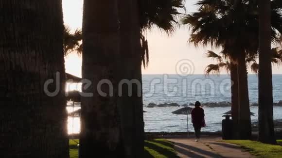 年轻的白种人女孩走在棕榈树环绕的长廊上穿着休闲装的漂亮女人在海滩上散步女孩走路视频的预览图