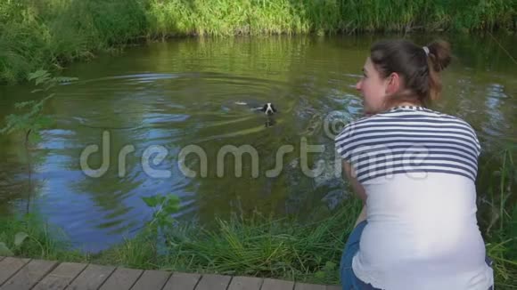 女人坐在池塘边她的公鸡在那里游泳视频的预览图