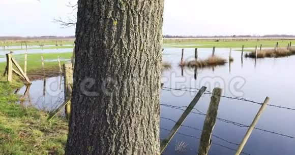 德国雷克的博格景观与阳光视频的预览图