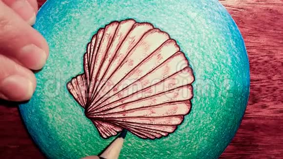 艺术家画了一个贝壳视频的预览图