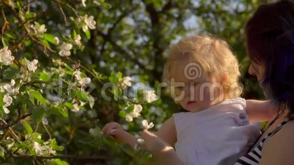 妈妈和女儿在苹果树上闻花视频的预览图