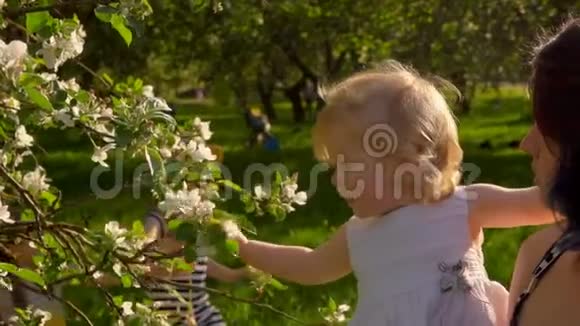 小女孩在玩苹果树枝视频的预览图