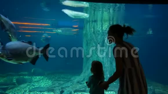 妈妈和女儿在大型水族馆里看鱼视频的预览图