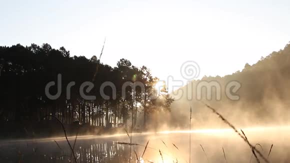 早晨雾在湖边露营阳光明媚视频的预览图