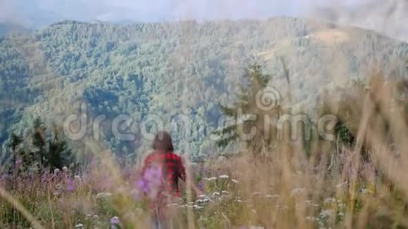 在山顶上一位身穿红色衬衫的英俊黑发女子走在鲜花和小麦的田野里SS视频的预览图