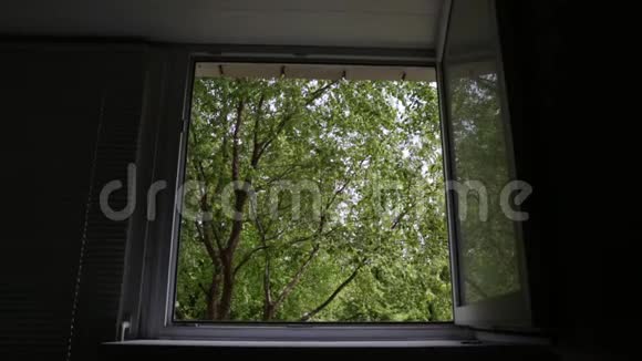 从绿树窗口看风景视频的预览图