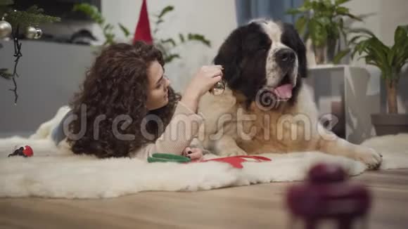 黑种人女孩和大圣伯纳德在家休息的特写镜头女人拿着圣诞装饰狗视频的预览图