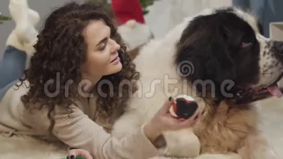 特写脸上幸福的白种人女孩给她的宠物玩具看着相机和微笑可爱的女士送礼物视频的预览图