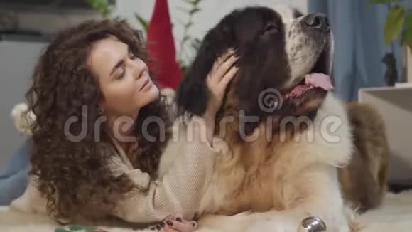 一只大狗和他的女主人躺在家里美丽的女人抚摸她的宠物看着相机和视频的预览图