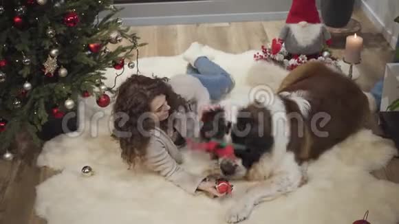美丽积极的白人妇女躺在圣诞树旁边的莫斯科看门狗和宠物玩耍女孩视频的预览图