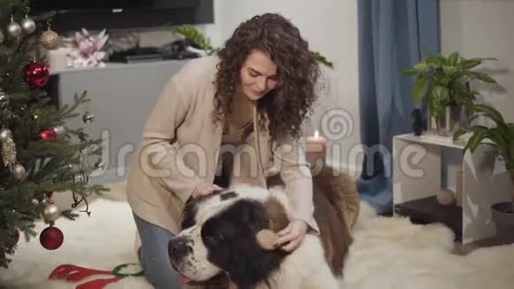 年轻的高加索女人黑发卷发梳大圣伯纳德快乐的宠物在家里和他的主人休息女孩视频的预览图