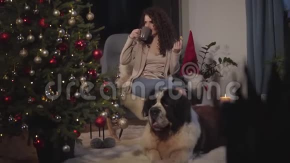 美丽的白种人女人坐在扶手椅上喝茶或咖啡吃饼干她可爱的宠物躺在视频的预览图
