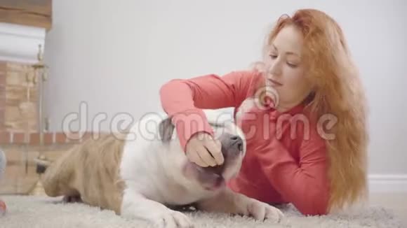 白种人年轻女人的肖像长着红色卷发躺在家里的地毯上喂牛头犬妇女视频的预览图