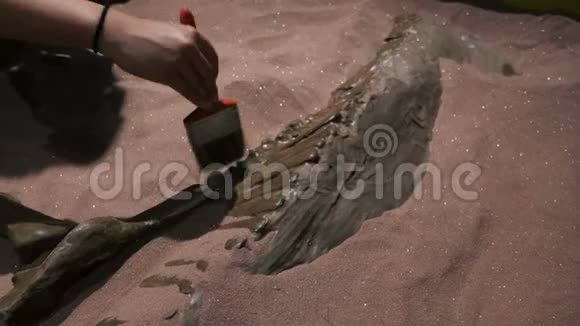 从恐龙化石的骨头上刷牙视频的预览图