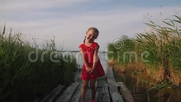 快乐的小女孩走在湖边芦苇丛之间的旧木墩上视频的预览图