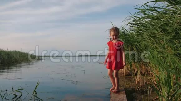 小女孩站在湖边的木墩上双脚浸在水里视频的预览图