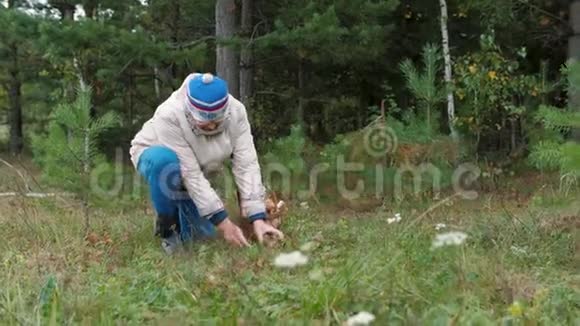 老年妇女在秋林采蘑菇视频的预览图