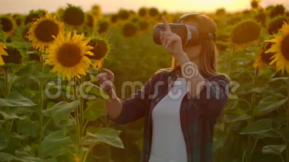 这位女科学家在日落时分在向日葵之间戴着VR眼镜视频的预览图