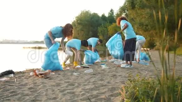 环保活动家小组女孩和男人忙于在湖滩捡垃圾视频的预览图