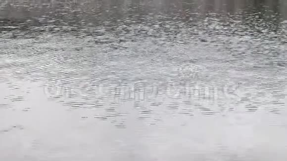 水上的雨视频的预览图