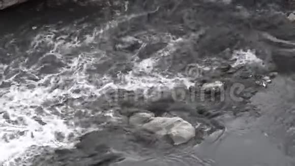 觅食污染河流空中视频的预览图