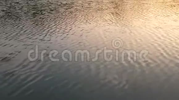水在晚上流动视频的预览图