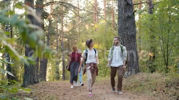 成群结队的旅行者在森林里散步谈论享受大自然视频的预览图