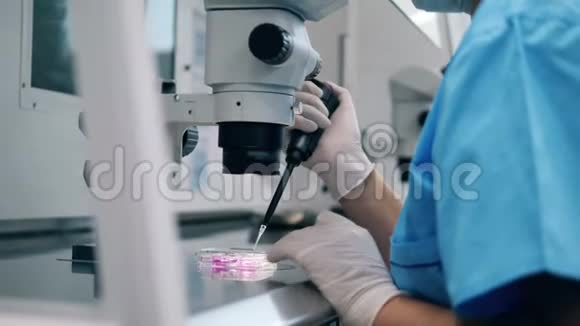 医学实验室的工作人员正在显微镜下观察液体视频的预览图