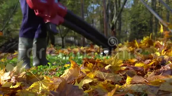园丁用鼓风机清洗后院的五颜六色的叶子视频的预览图