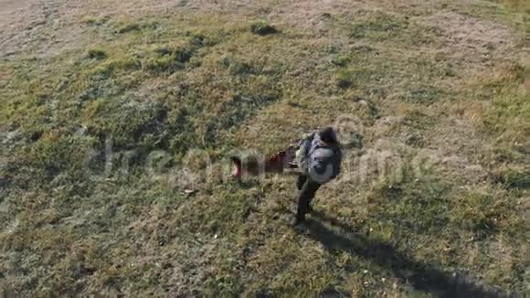 一个受过训练的攻击狗的驯兽师穿着一件保护夹克手臂一个人脱下了他的夹克视频的预览图