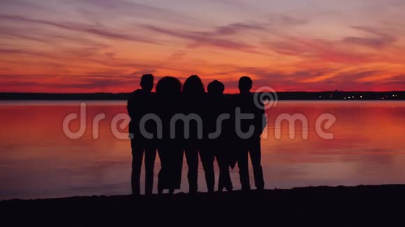 快乐的年轻人一起在湖滩上看日落的肖像视频的预览图