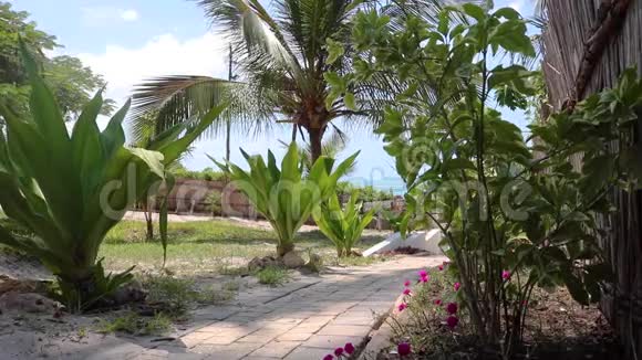 男子与妇女在热带度假村的植物步道上行走视频的预览图