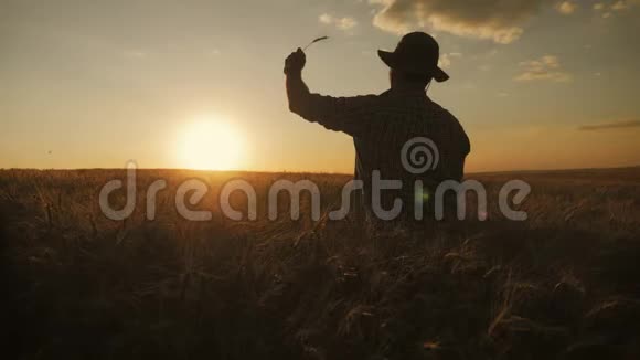 日落时麦田里幸福的农夫农业企业成功概念视频的预览图